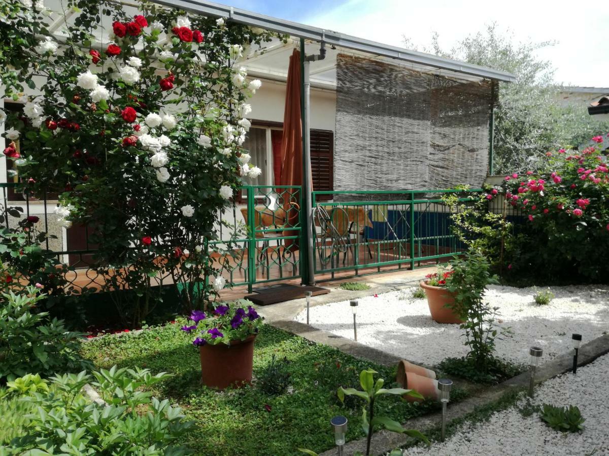 Apartmán Park